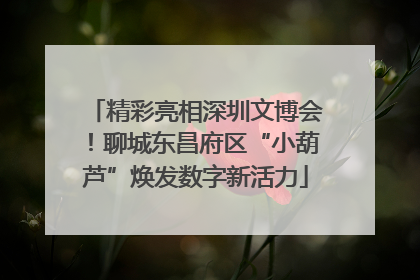 精彩亮相深圳文博会！聊城东昌府区“小葫芦”焕发数字新活力